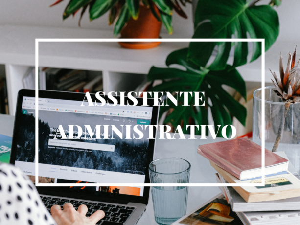 auditor-passo-fundo-big-0